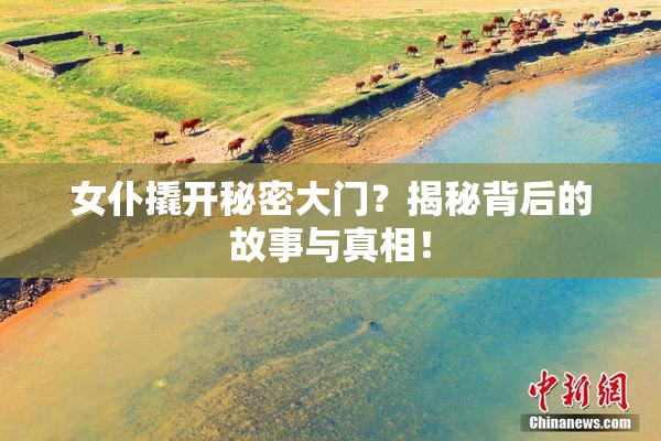 女仆撬开秘密大门？揭秘背后的故事与真相！
