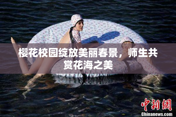 樱花校园绽放美丽春景，师生共赏花海之美
