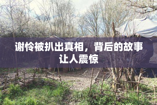 谢怜被扒出真相，背后的故事让人震惊