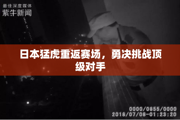 日本猛虎重返赛场，勇决挑战顶级对手