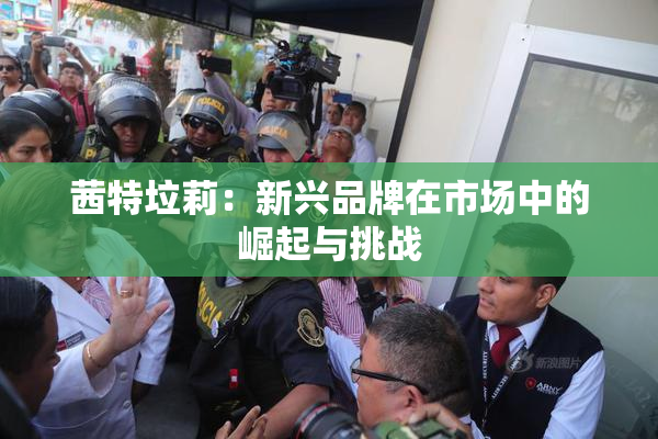 茜特垃莉：新兴品牌在市场中的崛起与挑战