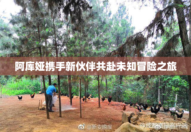 阿库娅携手新伙伴共赴未知冒险之旅