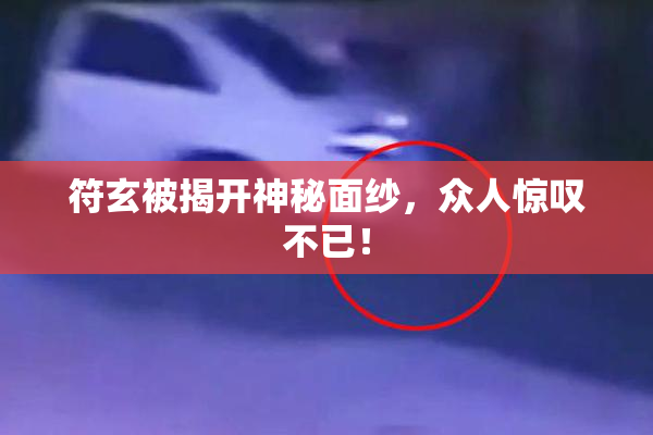 符玄被揭开神秘面纱，众人惊叹不已！