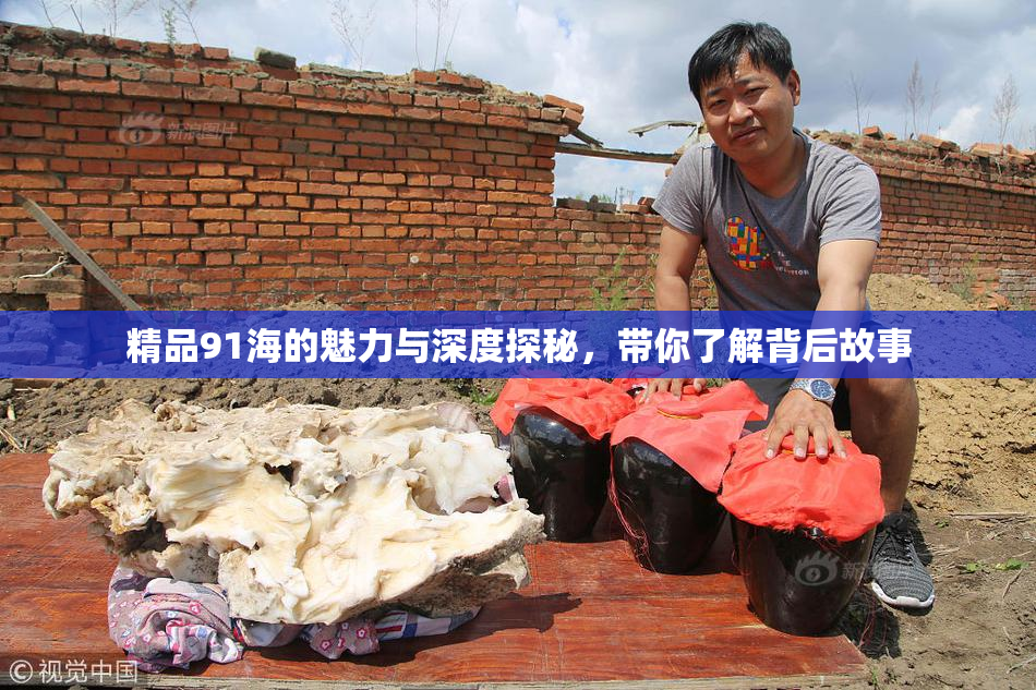 精品91海的魅力与深度探秘，带你了解背后故事
