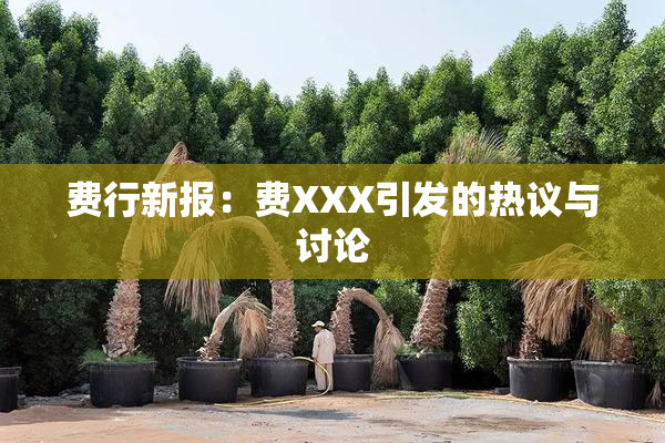 费行新报：费XXX引发的热议与讨论