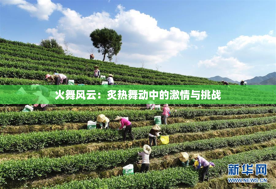 火舞风云：炙热舞动中的激情与挑战