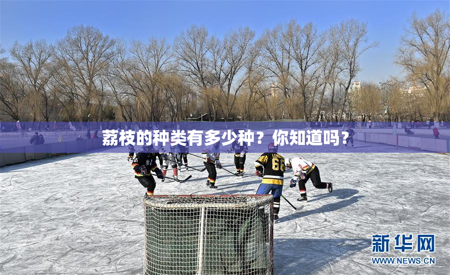 荔枝的种类有多少种？你知道吗？