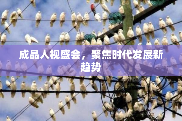 成品人视盛会，聚焦时代发展新趋势