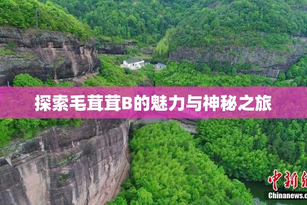 探索毛茸茸B的魅力与神秘之旅