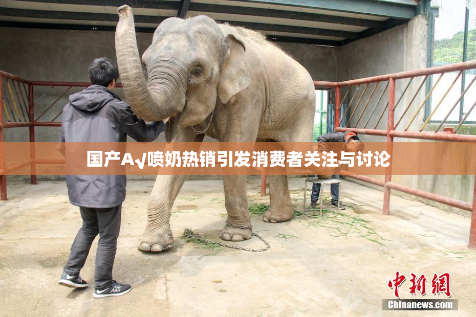 国产A√喷奶热销引发消费者关注与讨论