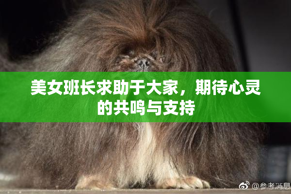 美女班长求助于大家，期待心灵的共鸣与支持