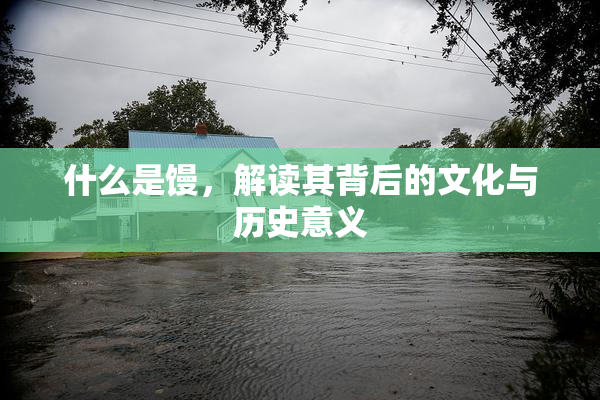 什么是馒，解读其背后的文化与历史意义