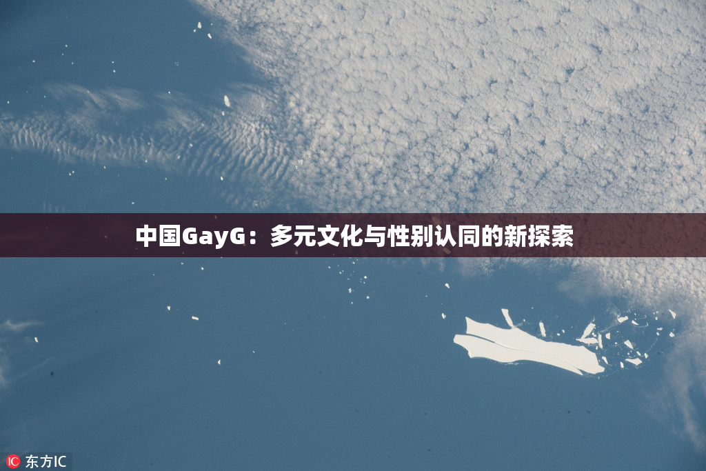 中国GayG：多元文化与性别认同的新探索