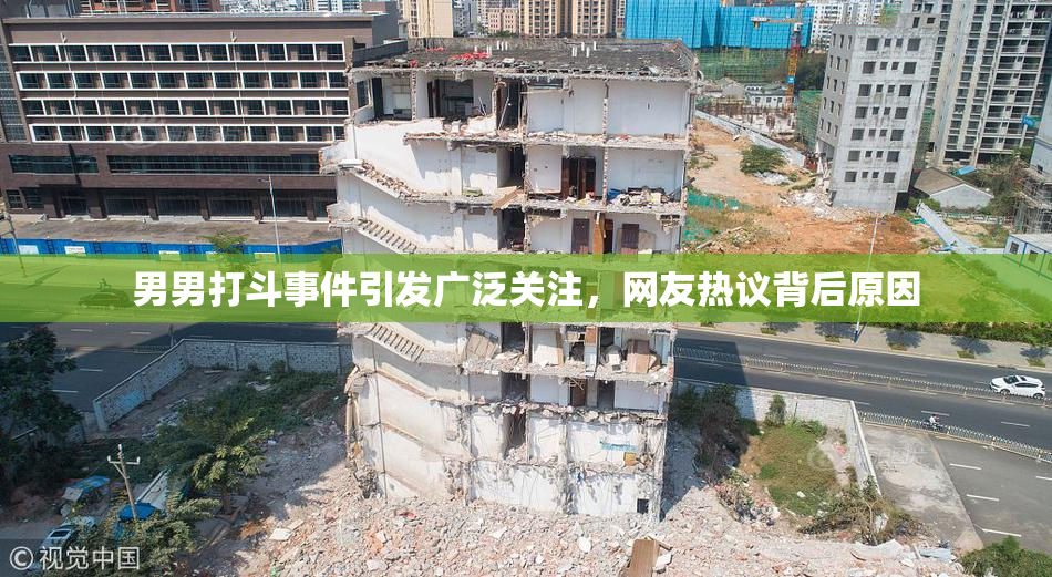 男男打斗事件引发广泛关注，网友热议背后原因