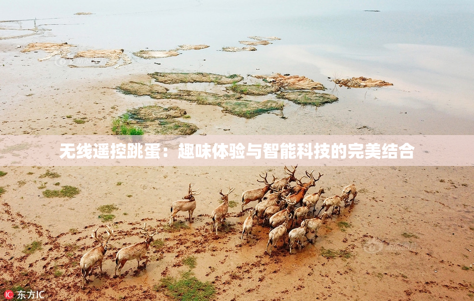无线遥控跳蛋：趣味体验与智能科技的完美结合