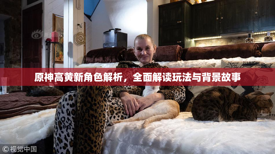 原神高黄新角色解析，全面解读玩法与背景故事