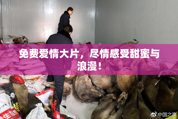 免费爱情大片，尽情感受甜蜜与浪漫！