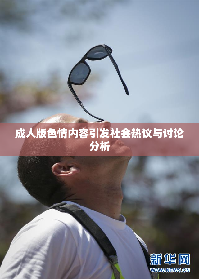 成人版色情内容引发社会热议与讨论分析