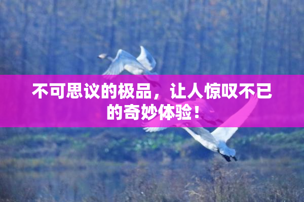 不可思议的极品，让人惊叹不已的奇妙体验！