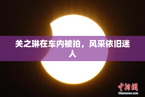 关之琳在车内被拍，风采依旧迷人