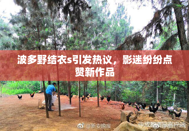 波多野结衣s引发热议，影迷纷纷点赞新作品