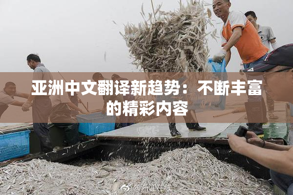 亚洲中文翻译新趋势：不断丰富的精彩内容