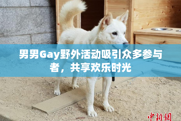 男男Gay野外活动吸引众多参与者，共享欢乐时光