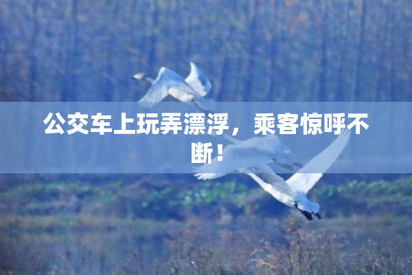 公交车上玩弄漂浮，乘客惊呼不断！