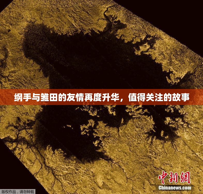 纲手与雏田的友情再度升华，值得关注的故事