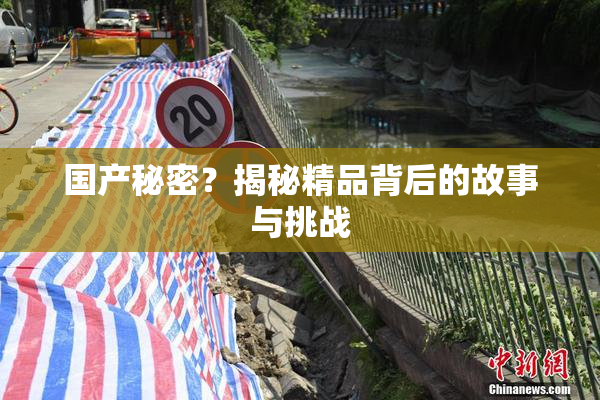 国产秘密？揭秘精品背后的故事与挑战