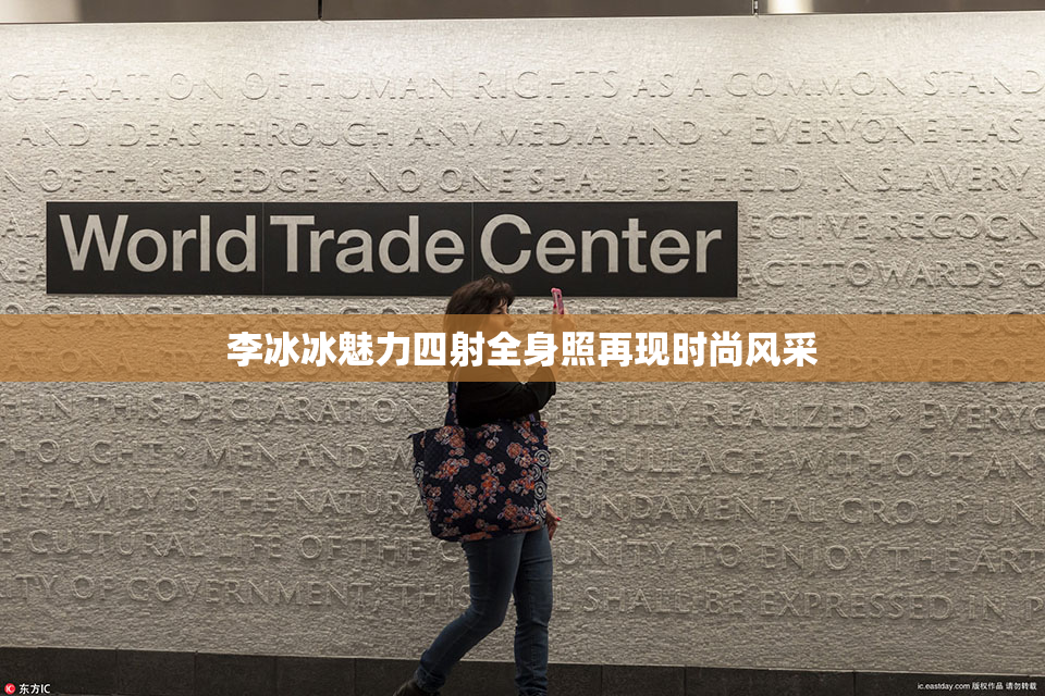 李冰冰魅力四射全身照再现时尚风采