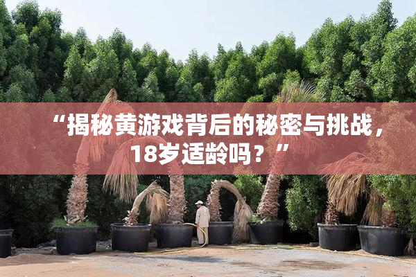 “揭秘黄游戏背后的秘密与挑战，18岁适龄吗？”
