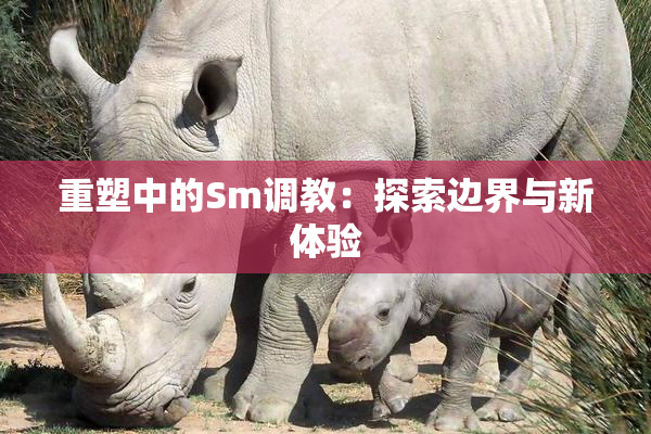 重塑中的Sm调教：探索边界与新体验
