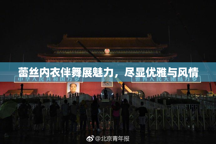 蕾丝内衣伴舞展魅力，尽显优雅与风情