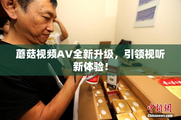 蘑菇视频AV全新升级，引领视听新体验！