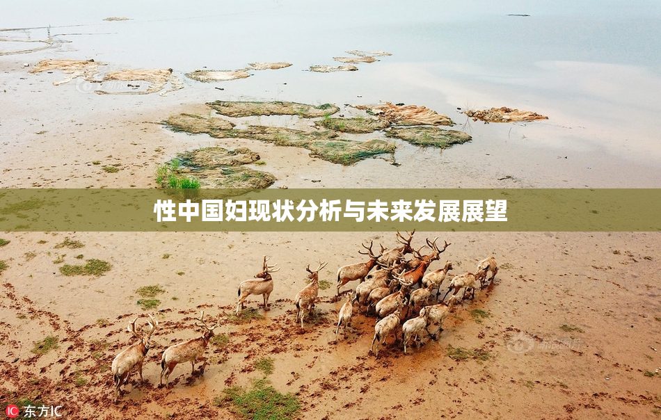 性中国妇现状分析与未来发展展望