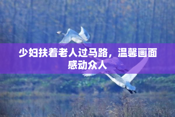 少妇扶着老人过马路，温馨画面感动众人