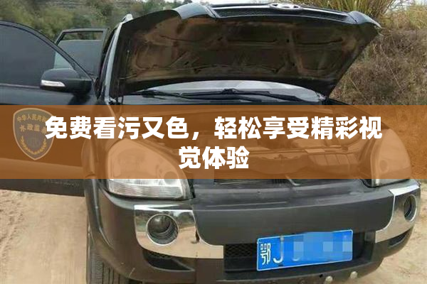免费看污又色，轻松享受精彩视觉体验