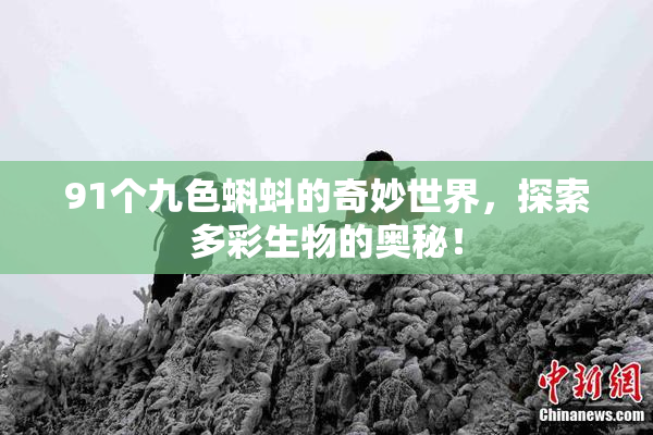 91个九色蝌蚪的奇妙世界，探索多彩生物的奥秘！