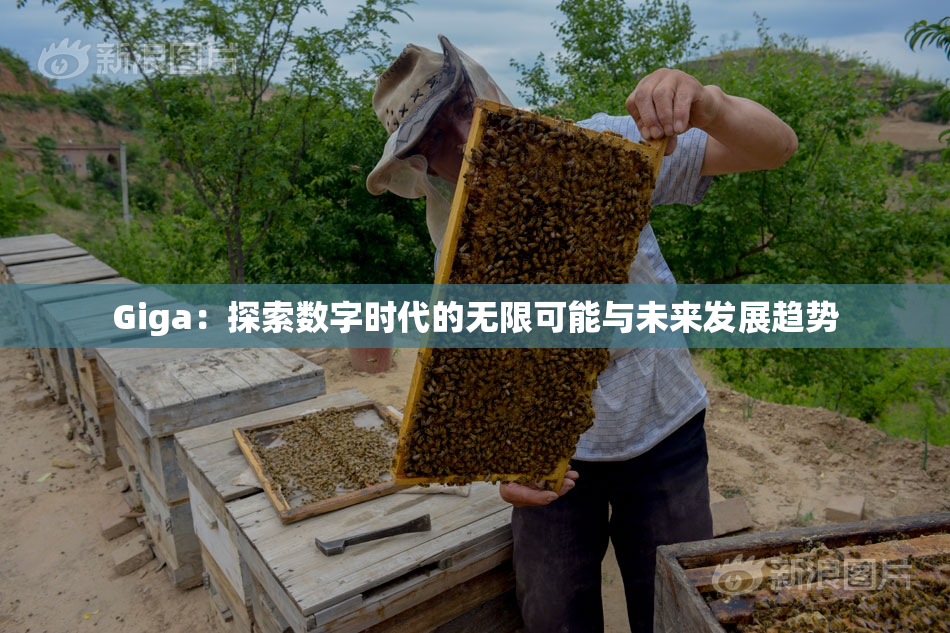 Giga：探索数字时代的无限可能与未来发展趋势