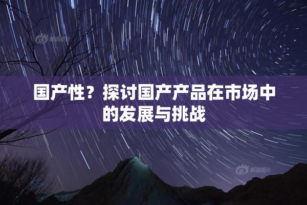 国产性？探讨国产产品在市场中的发展与挑战