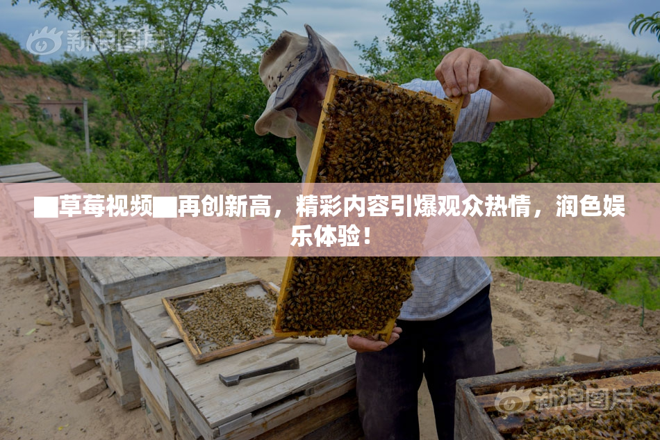 ▇草莓视频▇再创新高，精彩内容引爆观众热情，润色娱乐体验！