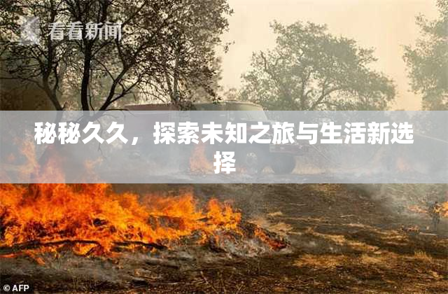 秘秘久久，探索未知之旅与生活新选择
