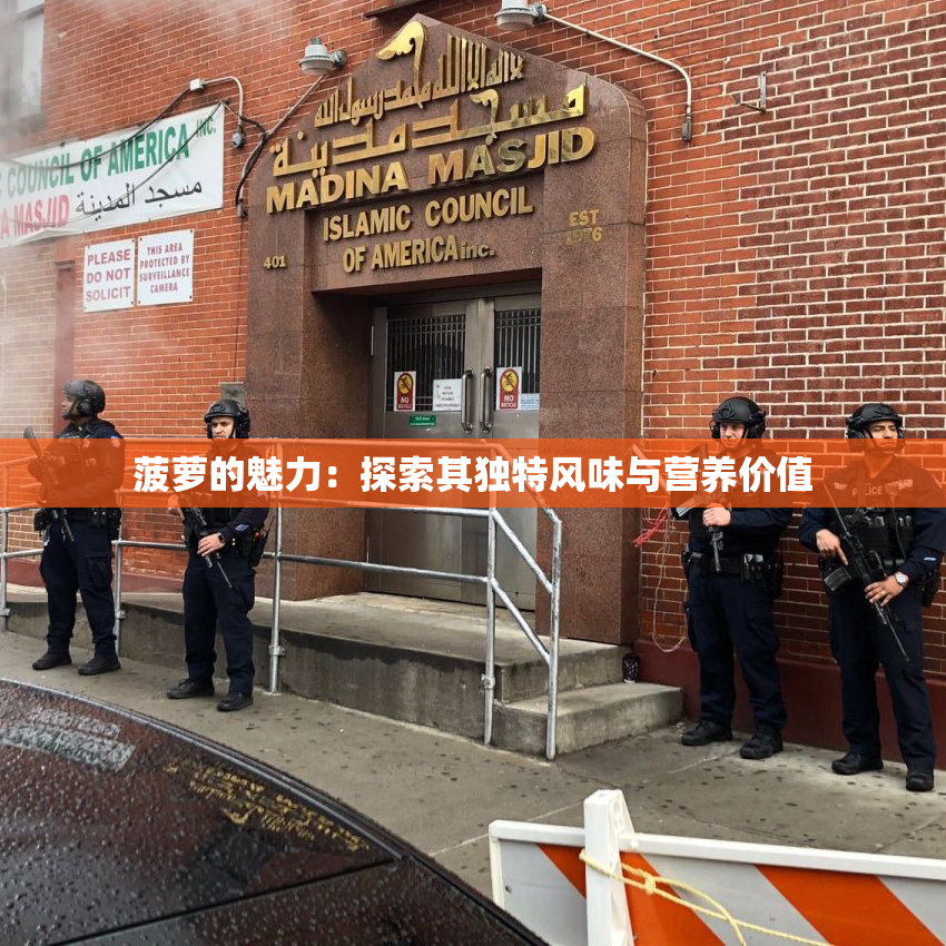 菠萝的魅力：探索其独特风味与营养价值