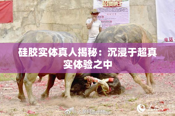 硅胶实体真人揭秘：沉浸于超真实体验之中