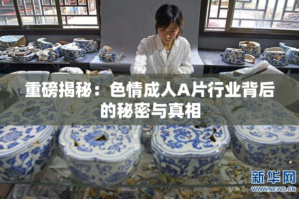重磅揭秘：色情成人A片行业背后的秘密与真相
