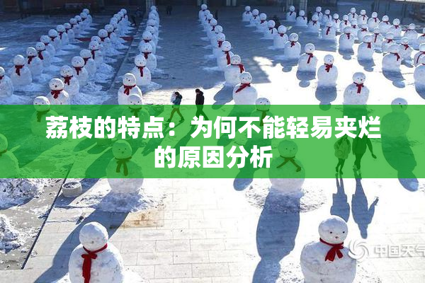 荔枝的特点：为何不能轻易夹烂的原因分析