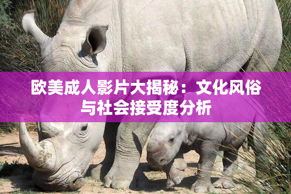 欧美成人影片大揭秘：文化风俗与社会接受度分析
