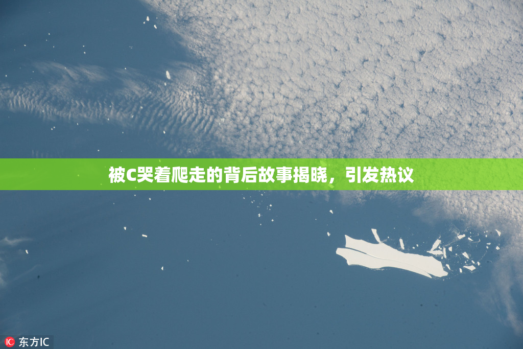 被C哭着爬走的背后故事揭晓，引发热议