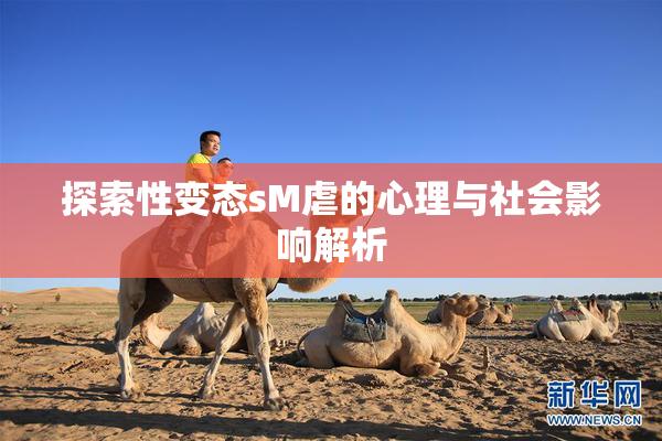 探索性变态sM虐的心理与社会影响解析